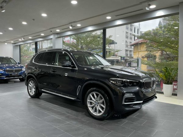 Bmw-x5-xline-600x450